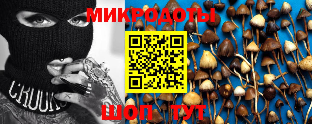 Великие Луки  купить наркотики сайты  Вход с VPN  Галлюциногенные грибы Psilocybe 