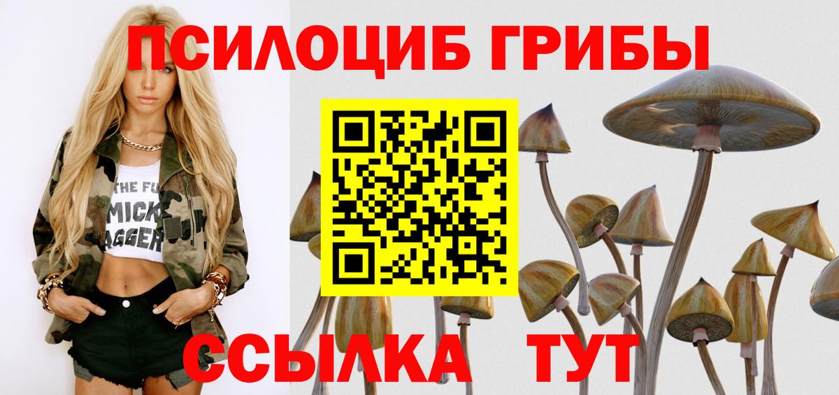 Галлюциногенные грибы мицелий Великие Луки